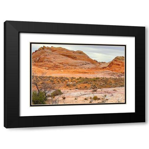 ValleyOfFire:BigHornSheep1 Black Modern Wood Framed Art Print with Double Matting by Tenoever, William