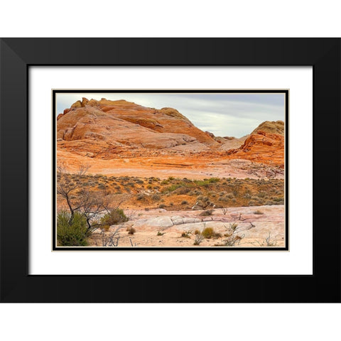 ValleyOfFire:BigHornSheep1 Black Modern Wood Framed Art Print with Double Matting by Tenoever, William
