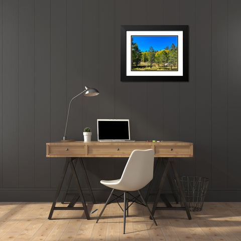 AspensInTheFall20 Black Modern Wood Framed Art Print with Double Matting by Tenoever, William