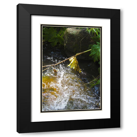 Riparian II Black Modern Wood Framed Art Print with Double Matting by Popcorn