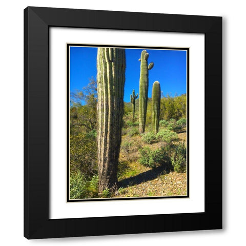 Desert Scape 12a Black Modern Wood Framed Art Print with Double Matting by Popcorn