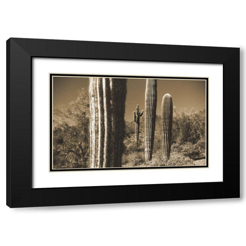 Desert Scape 13 Black Modern Wood Framed Art Print with Double Matting by Popcorn