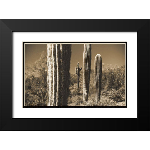 Desert Scape 13 Black Modern Wood Framed Art Print with Double Matting by Popcorn