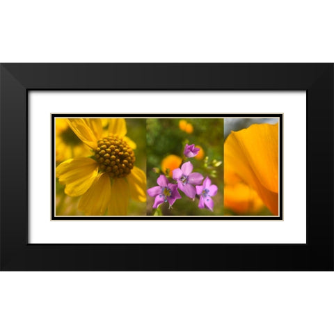 Wildflower Collage VII Black Modern Wood Framed Art Print with Double Matting by Popcorn