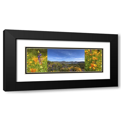 Wildflower Collage VIII Black Modern Wood Framed Art Print with Double Matting by Popcorn