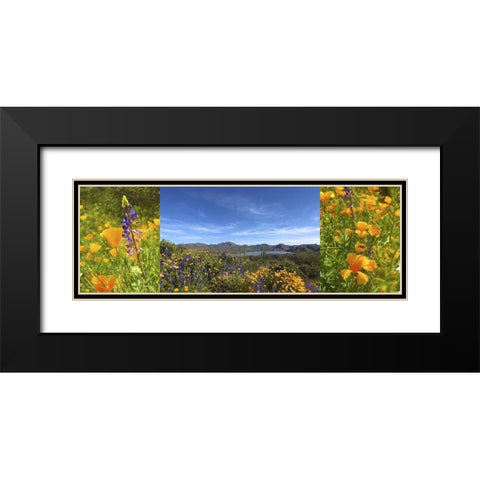 Wildflower Collage VIII Black Modern Wood Framed Art Print with Double Matting by Popcorn