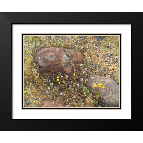 Sedimentations: Where The Chamomile Grows Black Modern Wood Framed Art Print with Double Matting by Popcorn