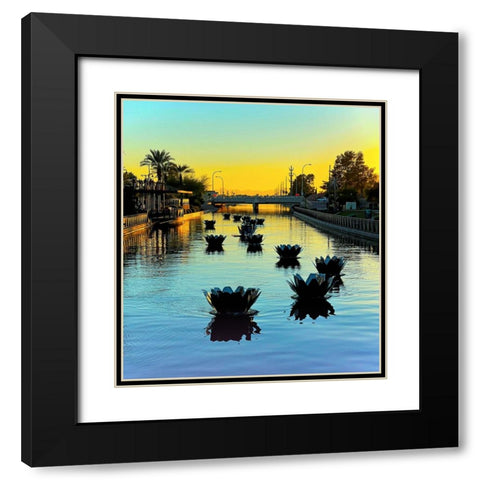 Scottsdale:FloatusBlossoms Black Modern Wood Framed Art Print with Double Matting by Tenoever, William