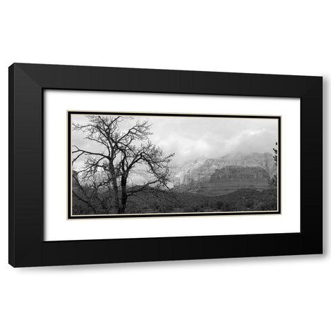 SedonaInWinter2:BAndW Black Modern Wood Framed Art Print with Double Matting by Tenoever, William