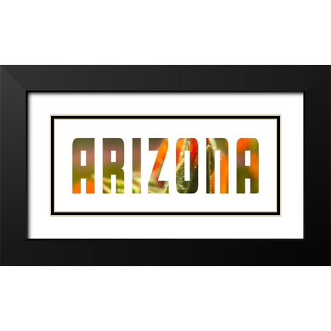 Arizona Black Modern Wood Framed Art Print with Double Matting by Popcorn