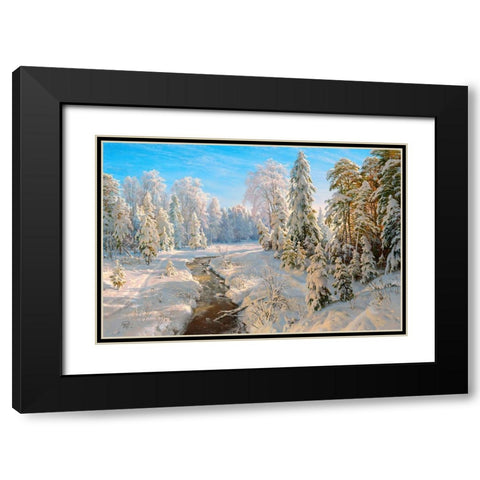 Hoarfrost 2 Black Modern Wood Framed Art Print with Double Matting by Basov, Sergej