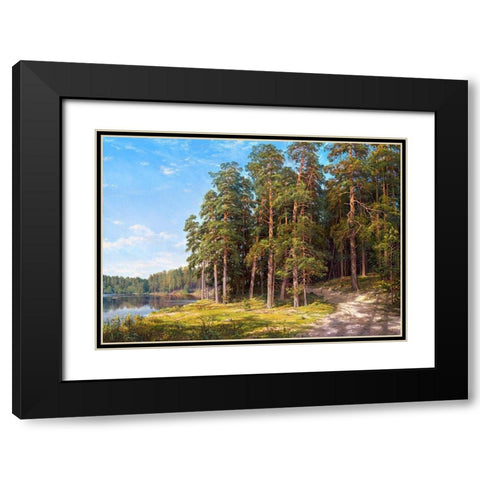 Coastal pines Black Modern Wood Framed Art Print with Double Matting by Basov, Sergej