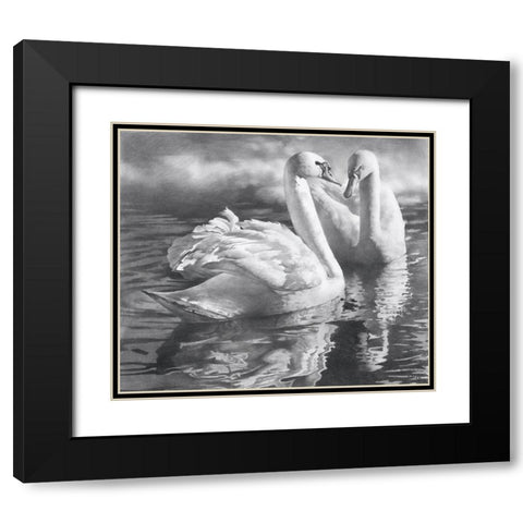 Two swans Black Modern Wood Framed Art Print with Double Matting by Chernov, Denis