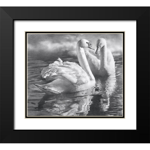 Two swans Black Modern Wood Framed Art Print with Double Matting by Chernov, Denis