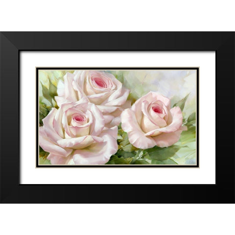 White and pink roses 1 Black Modern Wood Framed Art Print with Double Matting by Levashov, Igor