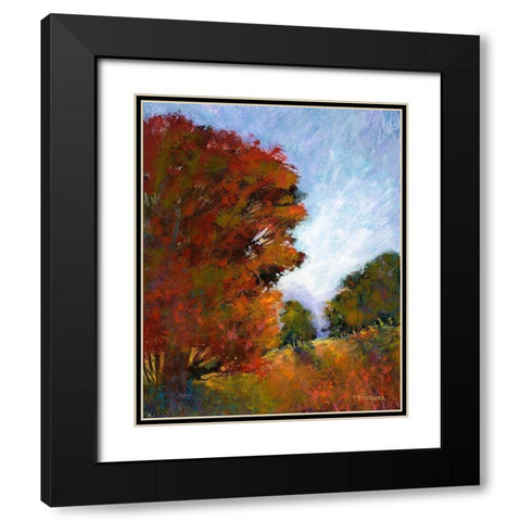 Falls Romance I Black Modern Wood Framed Art Print with Double Matting by Tienhaara, Michael