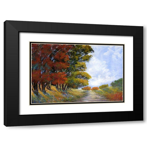 Golden Harmonies I Black Modern Wood Framed Art Print with Double Matting by Tienhaara, Michael