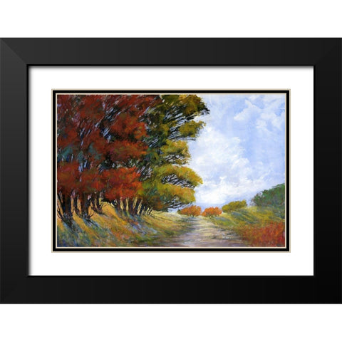 Golden Harmonies I Black Modern Wood Framed Art Print with Double Matting by Tienhaara, Michael