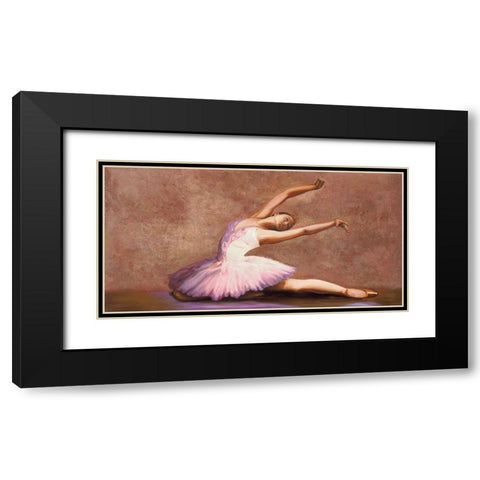 Swan Lake Black Modern Wood Framed Art Print with Double Matting by Bassetti, Andrea