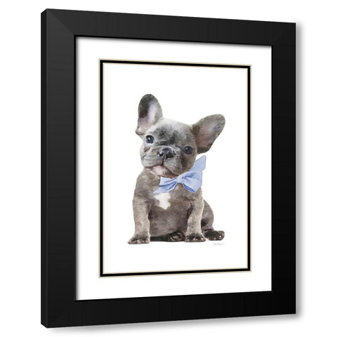 Frenchie XI Black Modern Wood Framed Art Print with Double Matting by Amanda Greenwood