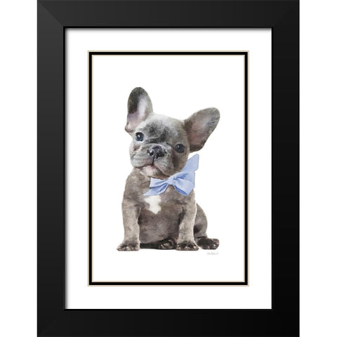 Frenchie XI Black Modern Wood Framed Art Print with Double Matting by Amanda Greenwood