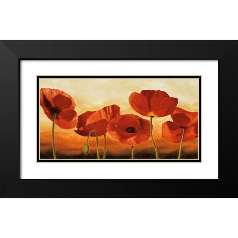 In the Sun Black Modern Wood Framed Art Print with Double Matting by Kahn, Andrea
