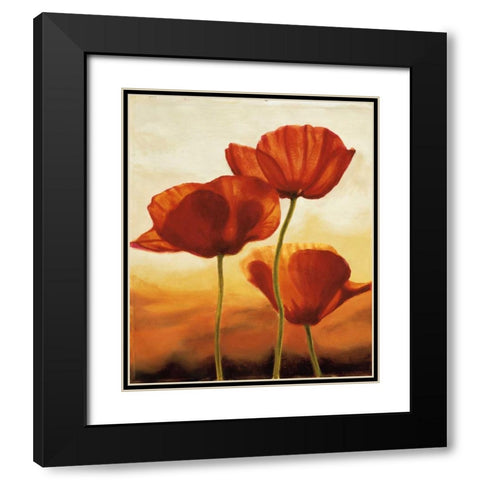 Poppies in Sunlight I Black Modern Wood Framed Art Print with Double Matting by Kahn, Andrea