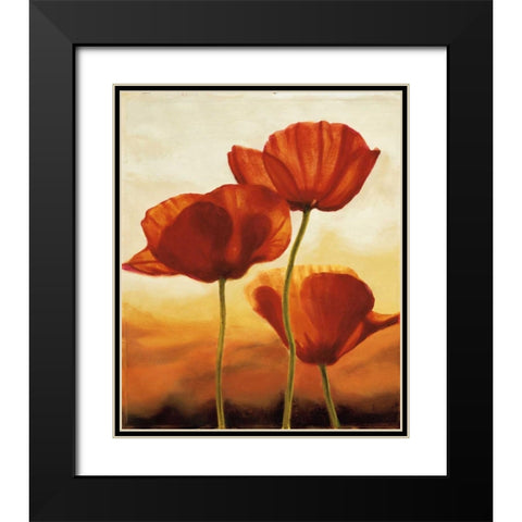 Poppies in Sunlight I Black Modern Wood Framed Art Print with Double Matting by Kahn, Andrea