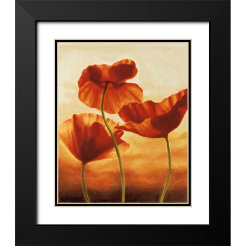 Poppies in Sunlight II Black Modern Wood Framed Art Print with Double Matting by Kahn, Andrea