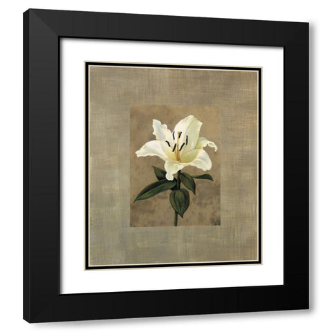 Lily Black Modern Wood Framed Art Print with Double Matting by Trivelli, Andrea