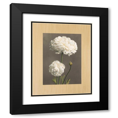 Dalie Black Modern Wood Framed Art Print with Double Matting by Trivelli, Andrea
