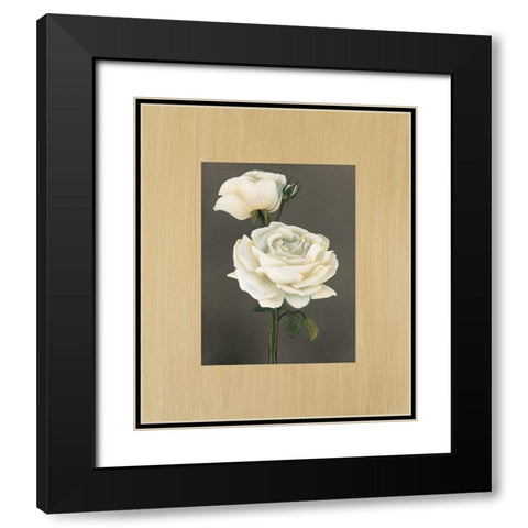 Rose Black Modern Wood Framed Art Print with Double Matting by Trivelli, Andrea