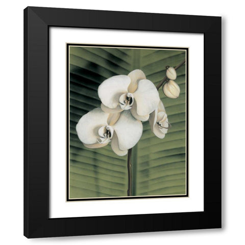 Orchid with Palm II Black Modern Wood Framed Art Print with Double Matting by Trivelli, Andrea