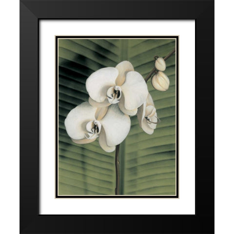 Orchid with Palm II Black Modern Wood Framed Art Print with Double Matting by Trivelli, Andrea