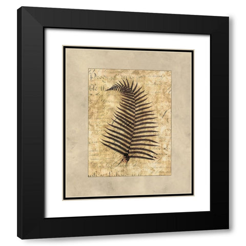 Fern I Black Modern Wood Framed Art Print with Double Matting by Weaver, Amy