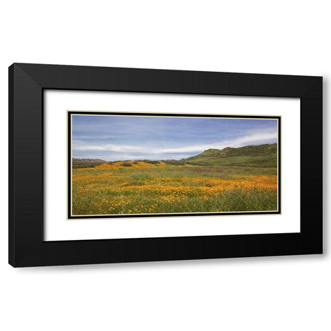Spring Vista with Wildflowers Black Modern Wood Framed Art Print with Double Matting by Markoff, Barbara