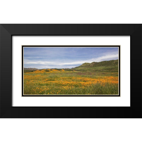 Spring Vista with Wildflowers Black Modern Wood Framed Art Print with Double Matting by Markoff, Barbara