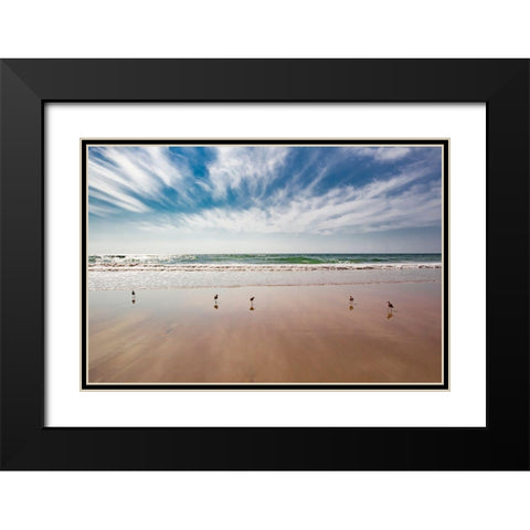 Birds on Beach, Del Mar Black Modern Wood Framed Art Print with Double Matting by Markoff, Barbara