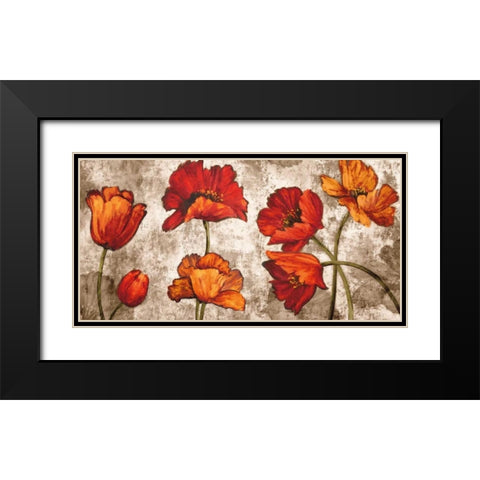 Poppy Paradise Black Modern Wood Framed Art Print with Double Matting by Francis, Brian