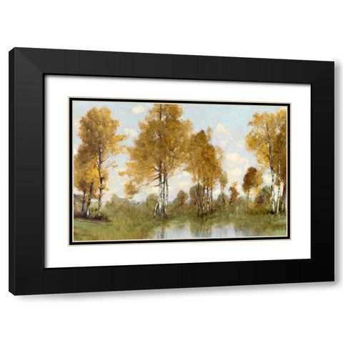 Golden Tree Pond I Black Modern Wood Framed Art Print with Double Matting by McKee, Christy