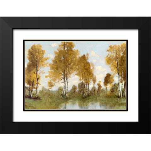 Golden Tree Pond I Black Modern Wood Framed Art Print with Double Matting by McKee, Christy