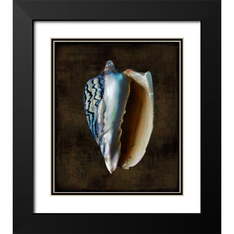 Ocean Treasure I Black Modern Wood Framed Art Print with Double Matting by Kelly, Caroline