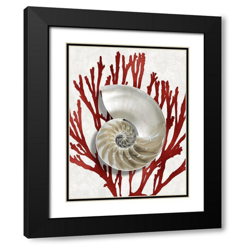 Shell Coral Red II Black Modern Wood Framed Art Print with Double Matting by Kelly, Caroline