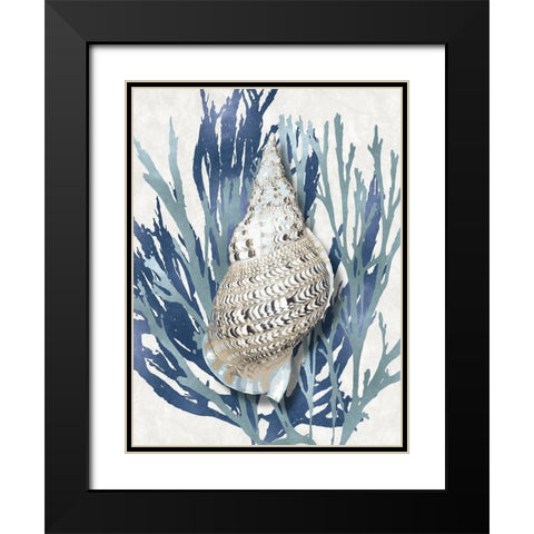 Shell Coral Aqua Blue I Black Modern Wood Framed Art Print with Double Matting by Kelly, Caroline