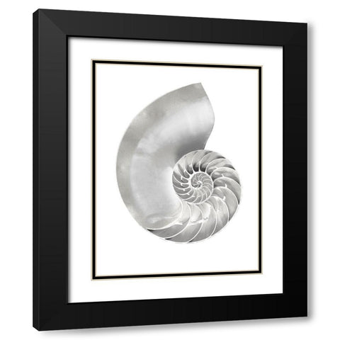 Silver Pearl Shell II Black Modern Wood Framed Art Print with Double Matting by Kelly, Caroline