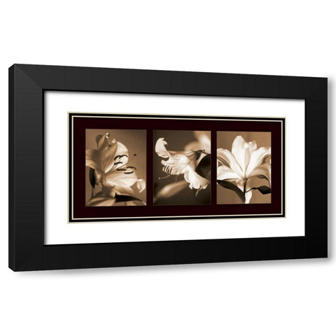 Lily Trio Black Modern Wood Framed Art Print with Double Matting by Kelly, Caroline