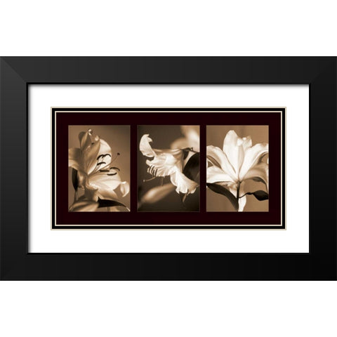 Lily Trio Black Modern Wood Framed Art Print with Double Matting by Kelly, Caroline