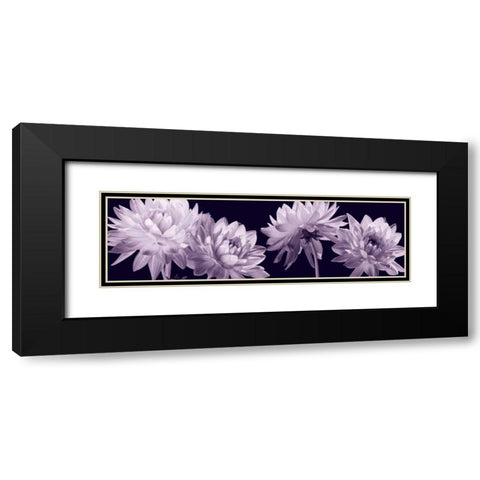 All in a Row Black Modern Wood Framed Art Print with Double Matting by Kelly, Caroline