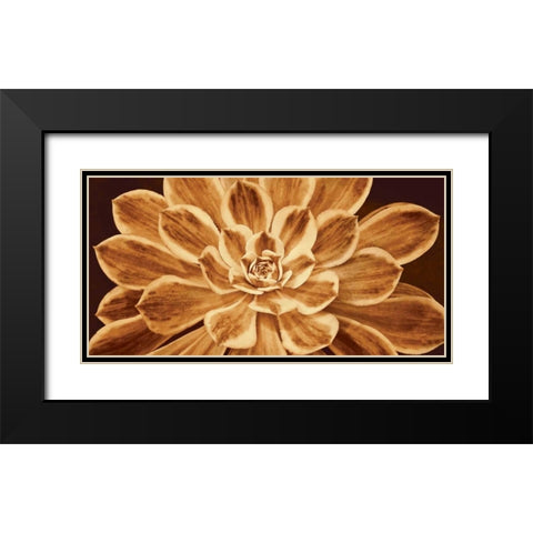 Sedona Black Modern Wood Framed Art Print with Double Matting by Kelly, Caroline