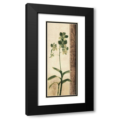 Dreamweaver II Black Modern Wood Framed Art Print with Double Matting by Donovan, Chris